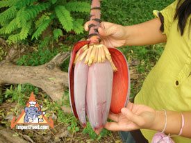 Thai banana flower, hua plee