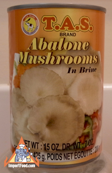 abalone mushrooms, thailand