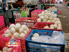 thai coconuts