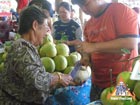 Fresh Coconut Juice Vendor
