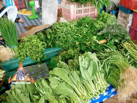Fresh Thai Market - Fresh Greens