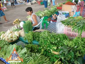 Fresh Thai Market - Thai Greens