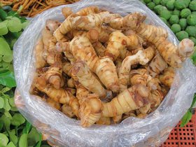 Fresh Thai Market - Mature (1 year) Galangal