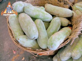Fresh Thai Market - Gourd