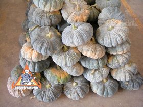 Fresh Thai Market - Pumpkin