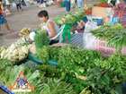 thai greens