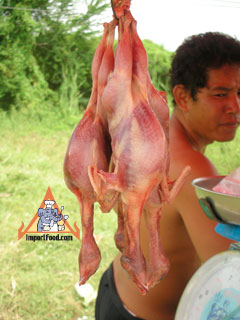 Thai Highway Vendor Sells Rice-Field Rats, Frogs, Chickens and Snakes