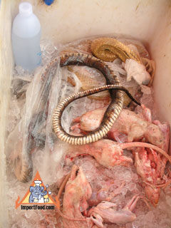 Thai Highway Vendor Sells Rice-Field Rats, Frogs, Chickens and Snakes