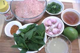 lab gai, thai spicy chicken salad