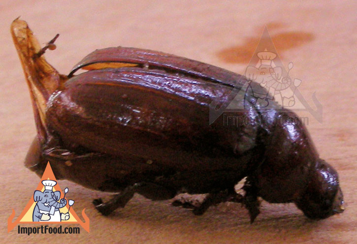 Thai Insects - Popular Snack Food in Thailand - Maeng Kee Noon