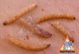 non pai, bamboo worm insect