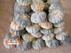 thai pumpkin