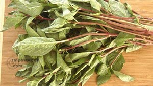 Fresh Thai basil