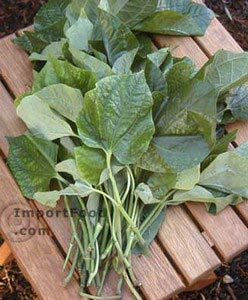 Fresh betel leaves, 3 bunches