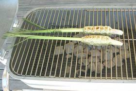 BBQ Ground Thai Chicken on Lemongrass Spears with Peanut Sauce - Barbeque the chicken