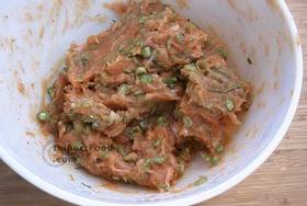 Spicy Fried Fish Cakes, 'Tod Man Pla' - Mix paste and other ingredients