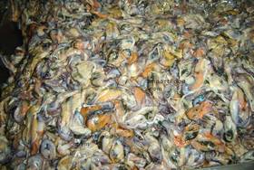 Thai Street Vendor for Thai-Style Fried Mussels, 'Hoi Tod'