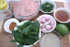 Thai Spicy Ground Chicken and Toasted Rice, 'Larb Gai' - Ingredients ready