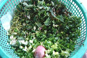 Thai Street Vendor for Thai Spicy Ground Chicken and Toasted Rice, 'Larb Gai'