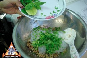 Larb with Glass Noodle & Minced Pork, 'Larb Woonsen Moo Sap' - Mixing the larb