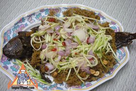 Cotton Fish with Green Mango Salad, 'Pla Dook Foo' - Cotton Fish with Green Mango Salad, 'Pla Dook Foo'