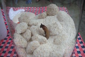 Fragrant candle cookies