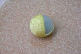 Fresh Longan