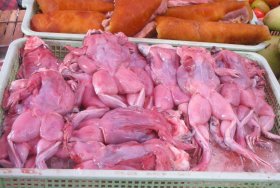 Frog for sale at a market in Thailand