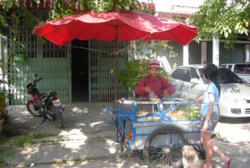 Fruit vendor in Thailand offers pineapple