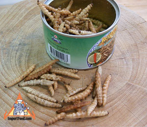 Thai Insect: Non Pai