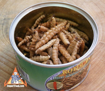 Thai Insect: Non Pai