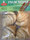 thai palm sugar