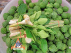 kaffir lime