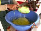 Feature: Shred Green Papaya for Som Tum