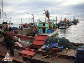Feature: Seafood In The Gulf Of Thailand