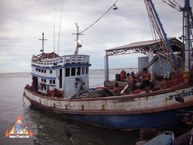 Feature: Seafood In The Gulf Of Thailand