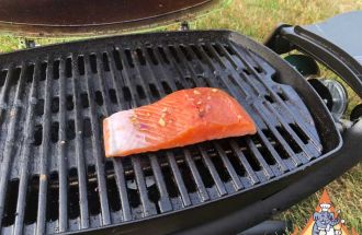 Barbecue Lightly Seasoned Salmon