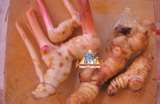 Young and Old Galangal