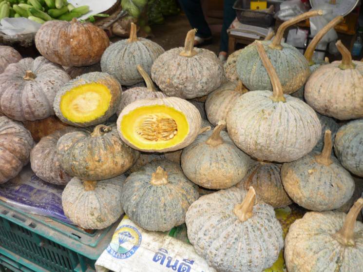 Recipe Pumpkin Soup, Thai-American Style