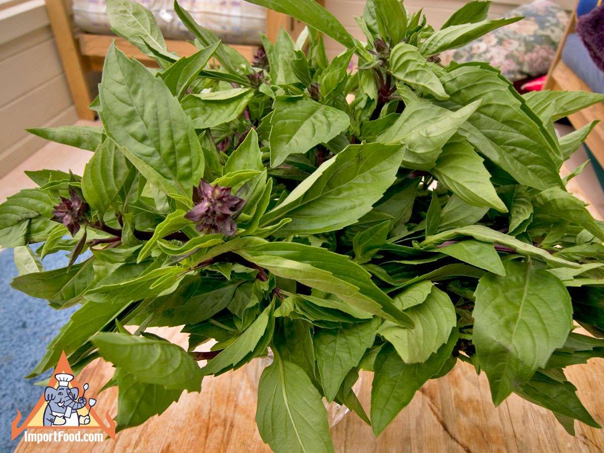 Fresh Thai Basil Bouquet / Mother's Day Update