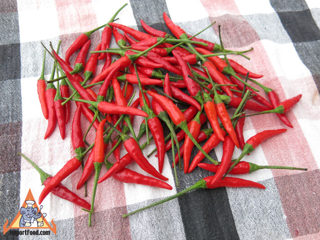 Also - Fresh Red Chilli Peppers