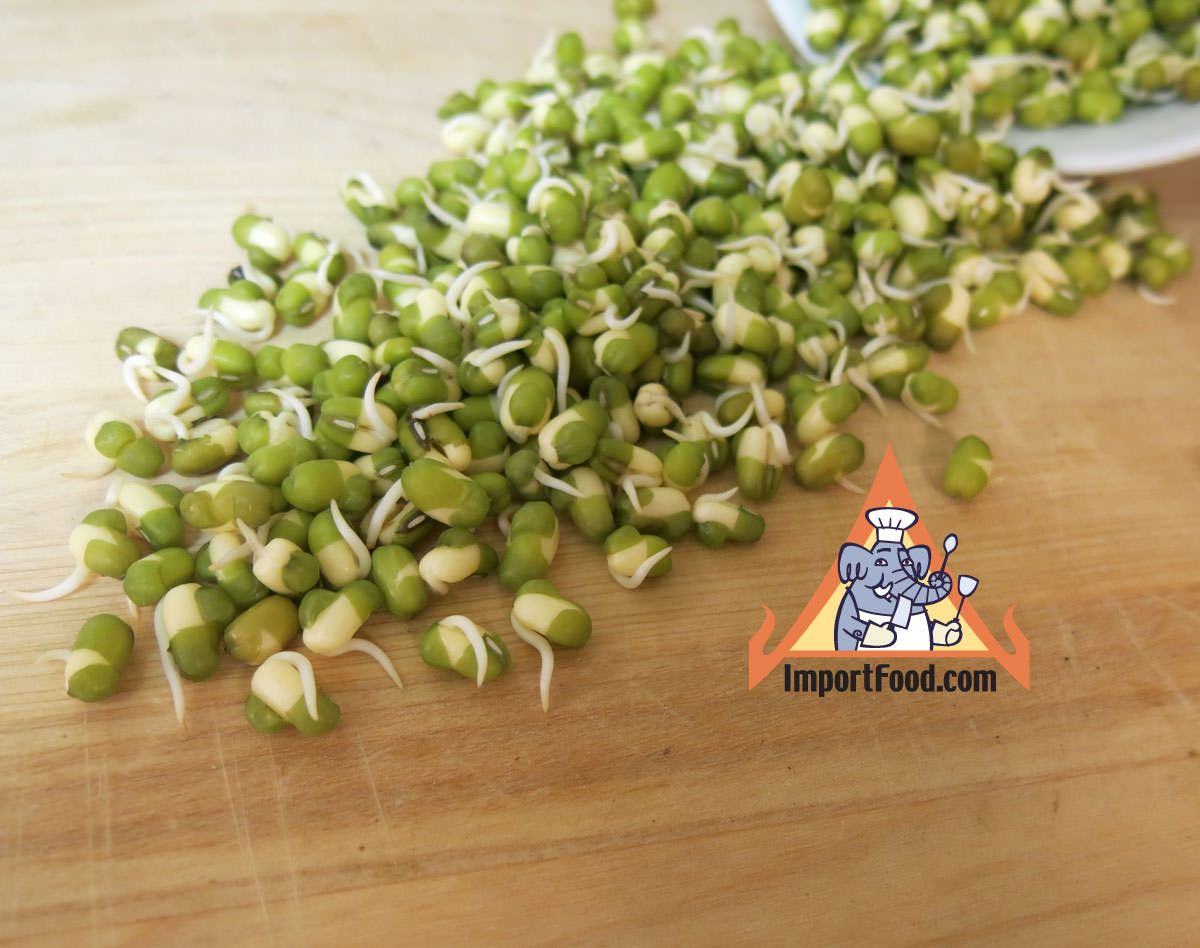 Mung Bean Sprouts Step 4