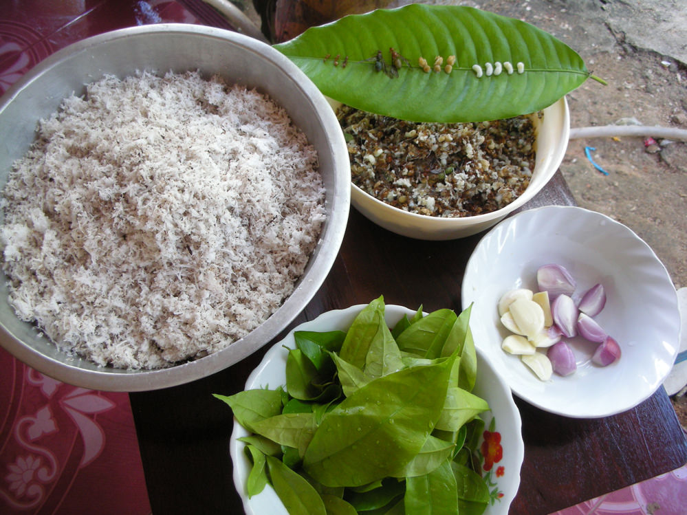 Boiled Ant Eggs in Coconut Milk, Tom Kati Kai Mod Daeng Thai