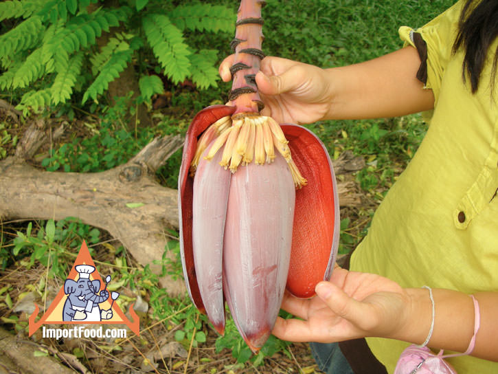 Thai Banana Flower 'Hua Plee'