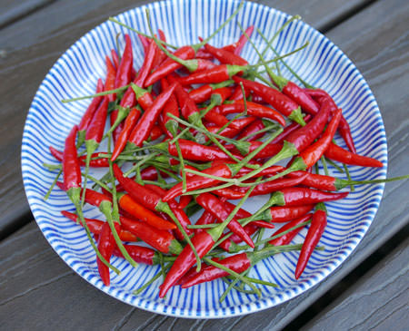 Fresh Red Thai Chile Peppers