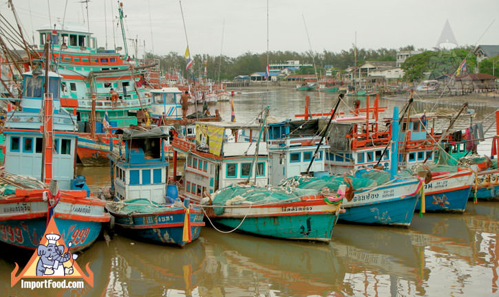 How Fish Sauce is Made: Step-by-Step Photo Tour