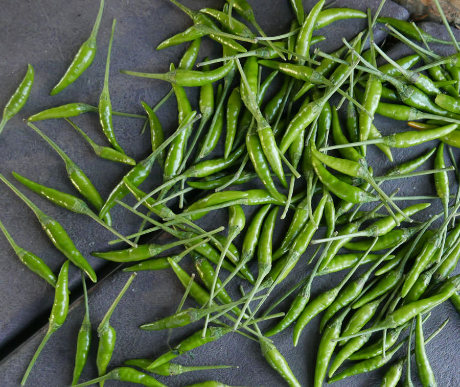 Fresh Green Thai Chile Peppers ImportFood Fresh Green Thai Chile Peppers ImportFood