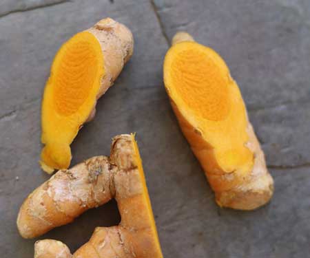 Fresh Turmeric from Fiji