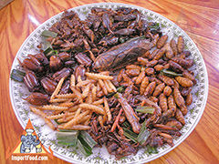 Thai Insects - Popular Snack Food in Thailand